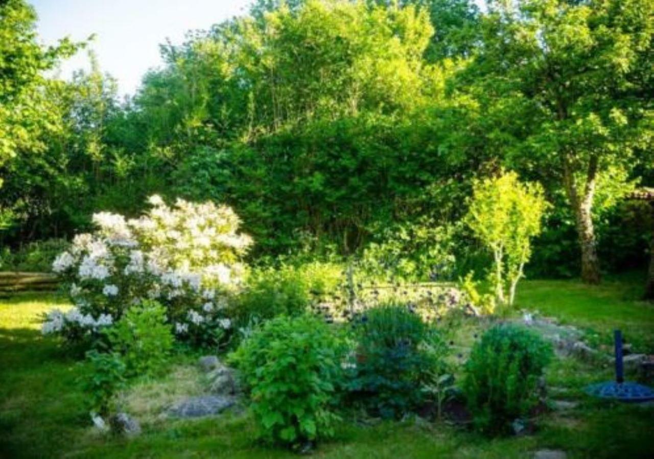 Bed and Breakfast L'Embellie Bertignat Экстерьер фото
